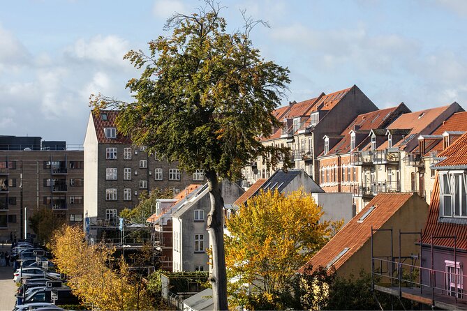 Aarhus Private Custom Walking Tour With A Guide - Stop 1: Dokk1, the waterfront library that sets the tone