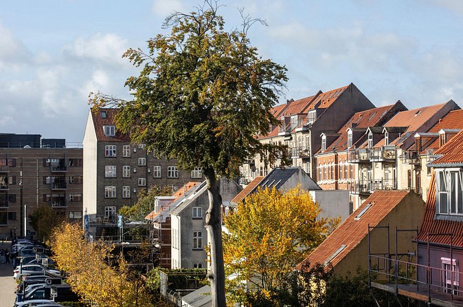 Aarhus Private Custom Walking Tour With A Guide - Stop 4: Latinerkvarteret, Mejlgade Street, and the Juul House area