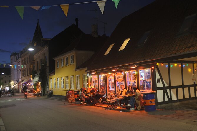 Aarhus Walking Tour: From Viking Village to Metropolis - Practical Side Notes: Museums, Rules, and Real Expectations