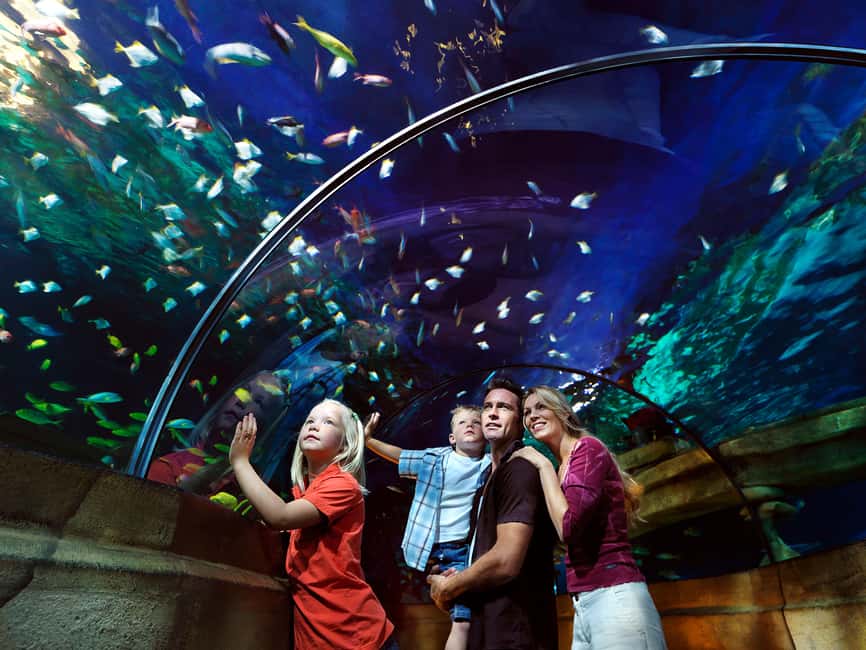 Billund: 1-Day Ticket to LEGOLAND® with All Rides Access - Pirate Land and Polar Land: watery fun and cold-weather thrills