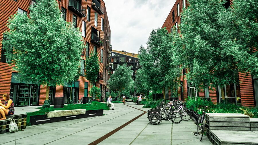 Copenhagen: 1.5-hour Private Walking Tour of Christianshavn - Christianshavns Mound: your first guided viewpoint and the rhythm of walking