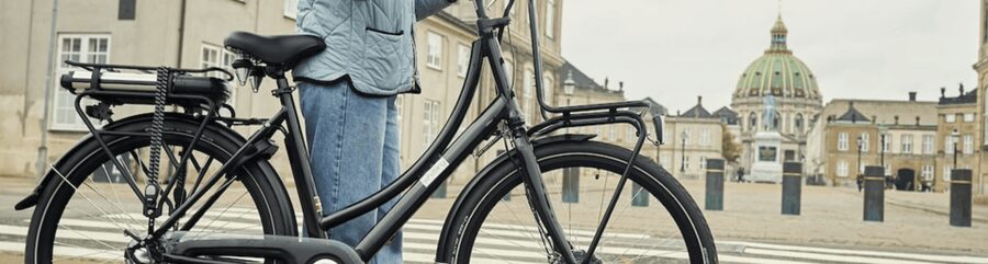Copenhagen: 3 Hour Extended Grand E-Bike Guided Tour - Starting at Langelinie, then getting comfortable on the e-bike