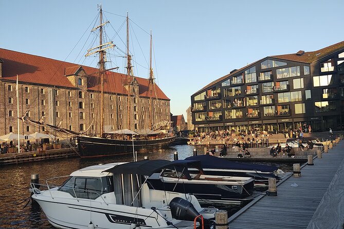 Copenhagen: Harbor Architecture Private Walking Tour - Cirkelbroen, Then the Circle-Bridging Finish at DAC