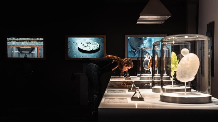 Copenhagen: Home of Carlsberg Experience Entry Ticket - Brewing horses and the best pacing for a 1-day visit