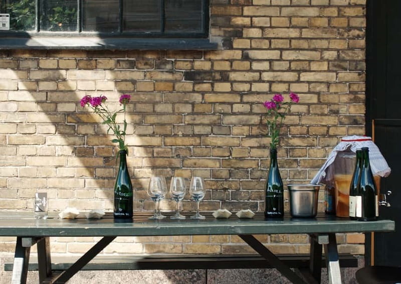 Copenhagen: Locally Brewed Kombucha Tasting Experience - Key things you’ll notice during the tasting