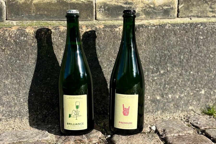 Copenhagen: Locally Brewed Kombucha Tasting Experience - Who should book this, and who might prefer something else