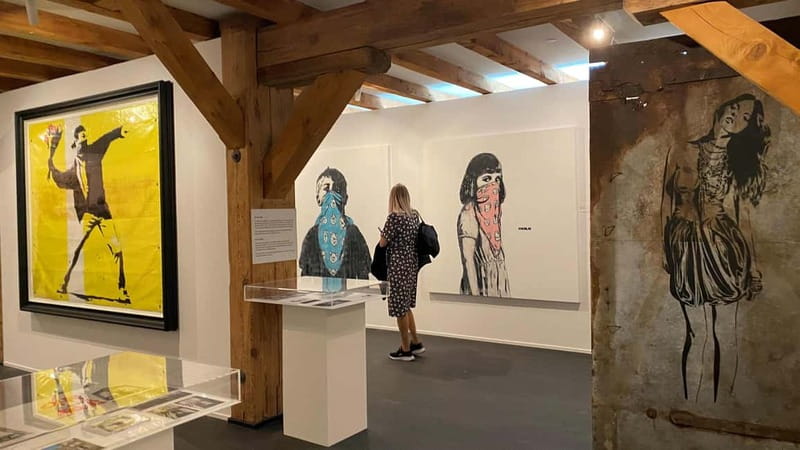Copenhagen: MACA Museum: Banksy & Street Art Entry Ticket - Audio guide on your smartphone: how to use it well