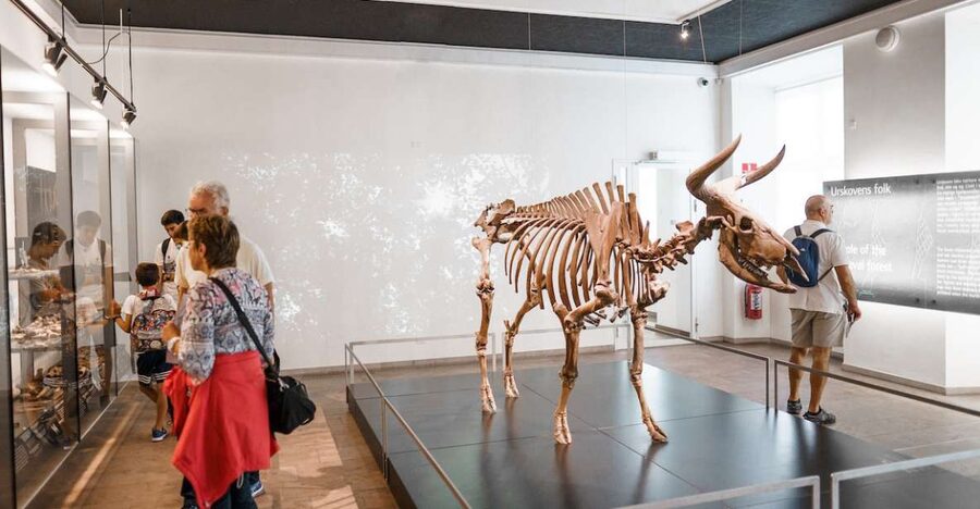 Copenhagen: National Museum of Denmark Entry Ticket - Viking Sorceress and Völva: the exhibition that pulls people back