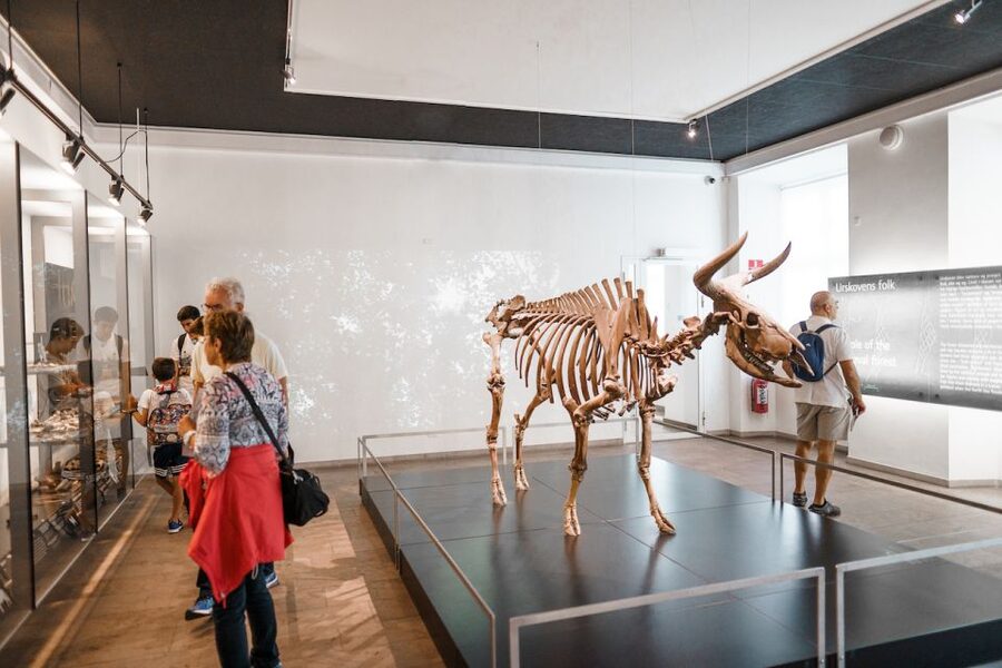 Copenhagen: National Museum of Denmark Entry Ticket - The museum’s timeline superpower: how 14,000 years works on-site