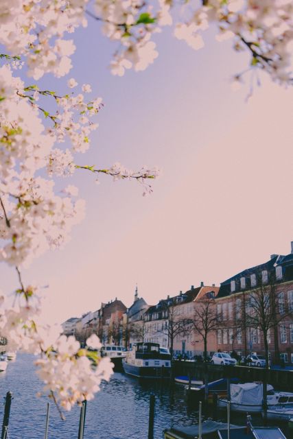 Copenhagen Private 3h biking tour - Price and value of a $269 private 3-hour ride