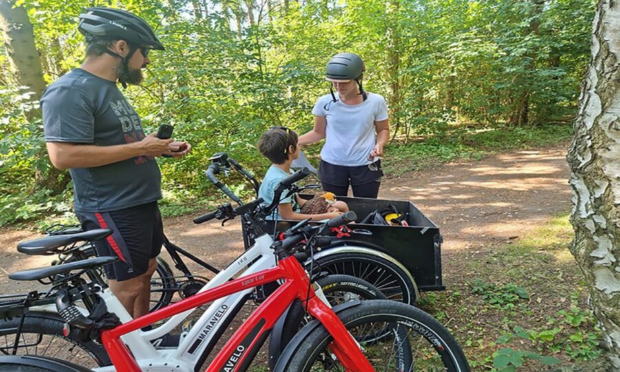Copenhagen: Private Forgotten Giants E-Bike Treasure Hunt - Glostrup: 50 Minutes of Parks, Pedal Flow, and Giant Spotting