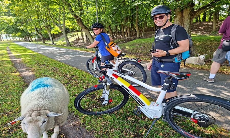 Copenhagen: Private Forgotten Giants E-Bike Treasure Hunt - Høje-Taastrup: Where the Dambo Story Lands Along Scenic Riding