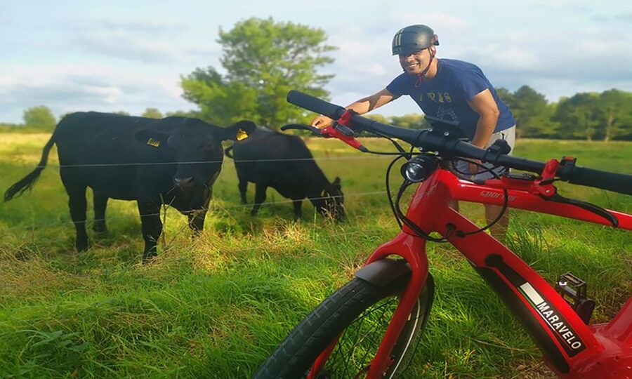 Copenhagen: Private Forgotten Giants E-Bike Treasure Hunt - Albertslund and Valensbæk Edges: Nature Views to Close the Loop