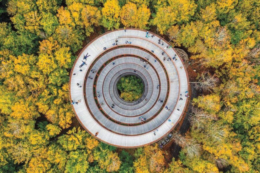 Copenhagen: The Forest Tower & Forgotten Giants Trolls Trip - The hourglass design, touching beech trees, and the best indoor-outdoor moment