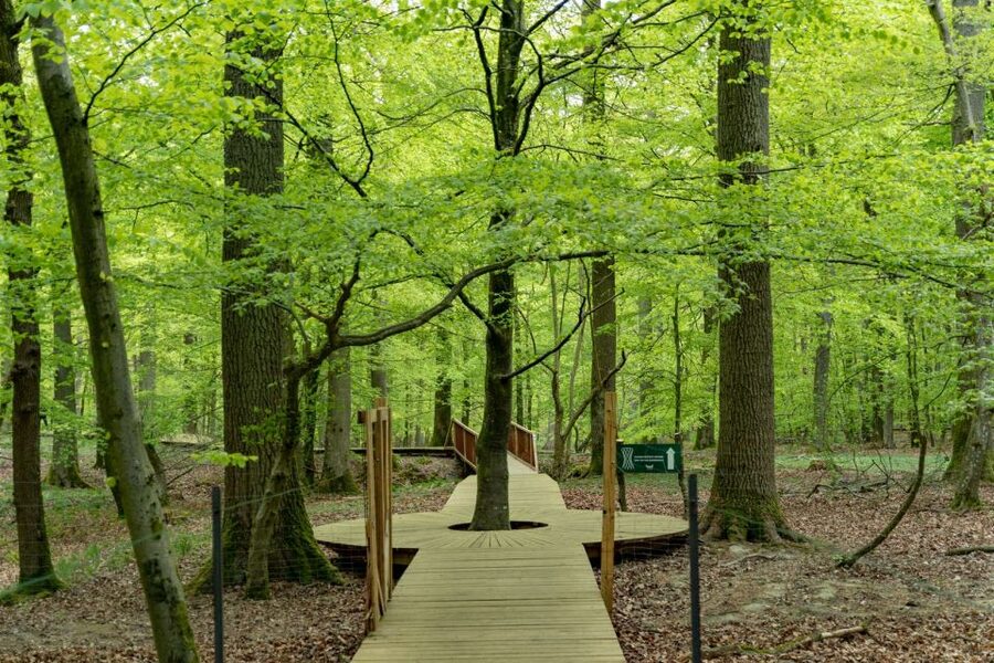 Copenhagen: The Forest Tower & Forgotten Giants Trolls Trip - The Forgotten Giants trolls: quick stops that turn into a fun scavenger hunt