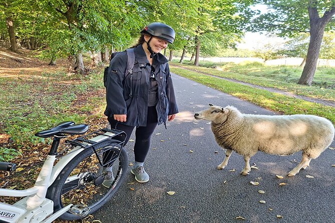 E-biking Northern Forgotten Giants' s Adventure - Stop by stop: what to expect at each Forgotten Giant