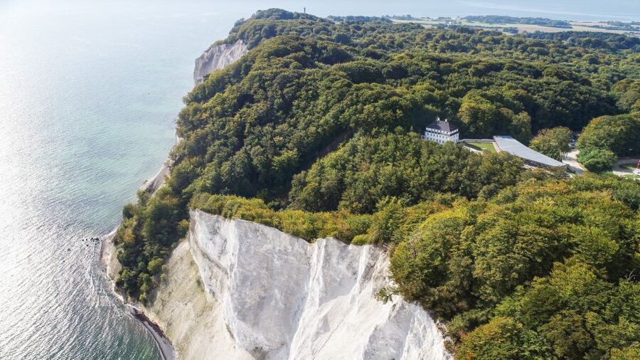 From Copenhagen: Round-Trip to Møns Klint and Forest Tower - Key highlights to know before you go