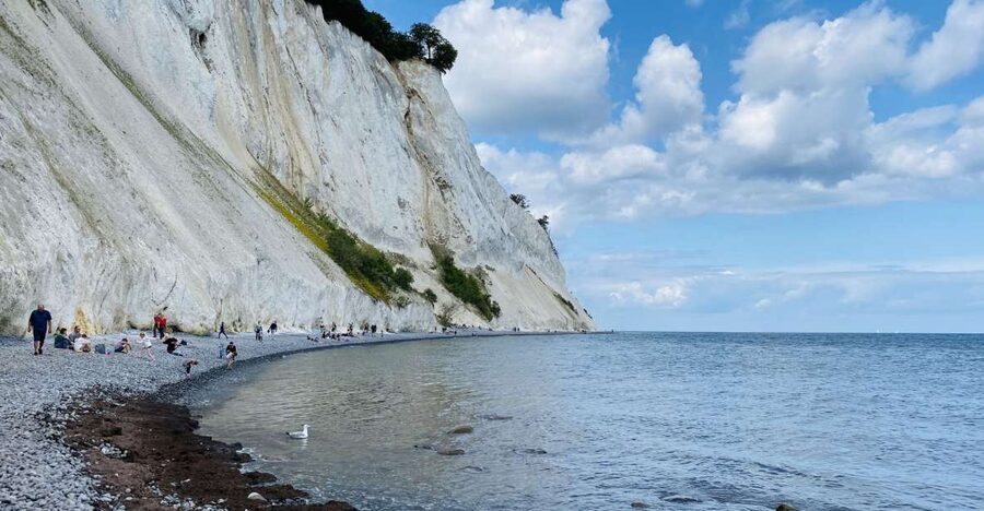 From Copenhagen: Round-Trip to Møns Klint and Forest Tower - Guide energy: why timing and explanations make a difference