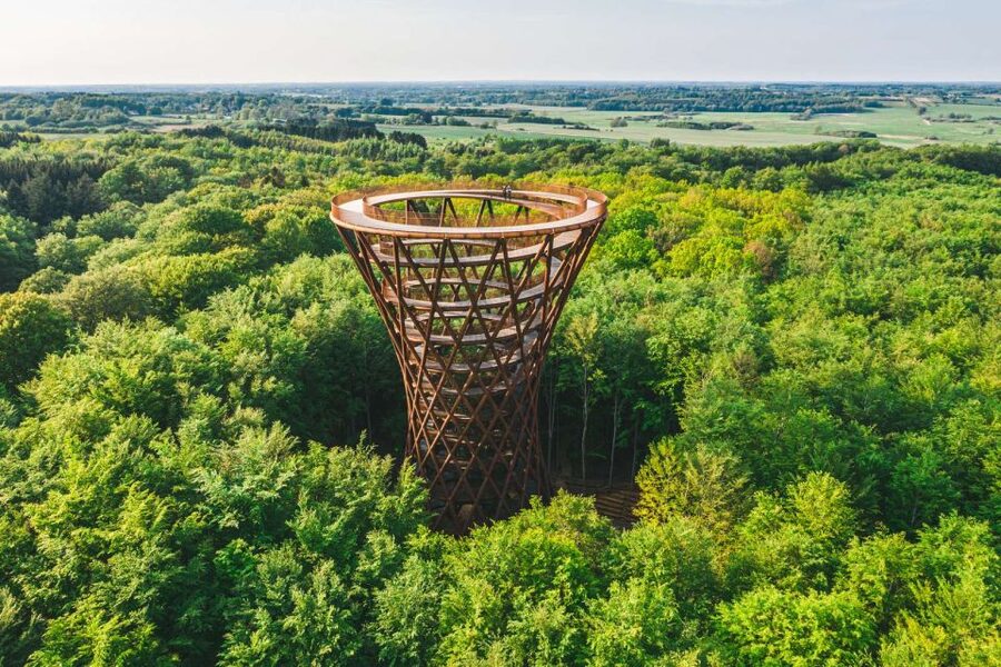 From Copenhagen: Round-Trip to Møns Klint and Forest Tower - Café Møns Klint lunch: where you can top up before the big steps