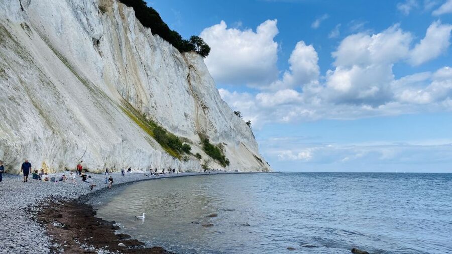 From Copenhagen: Round-Trip to Møns Klint and Forest Tower - Timing, energy, and what an 8-hour day actually costs you