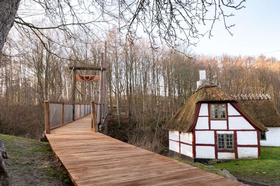 From Copenhagen: Round-Trip to Møns Klint and Forest Tower - Who should book this, and who should skip it