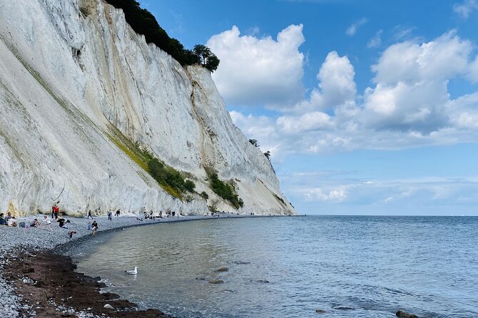 Møns klint and The Forest tower - A day tour from Copenhagen - Denmark’s Forest Tower and Møns Klint in one day: why this combo works