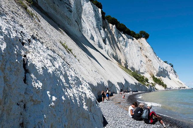 Møns klint and The Forest tower - A day tour from Copenhagen - Møns Klint cliffs: 143 m views, 6 km chalk coastline, and the beach choice