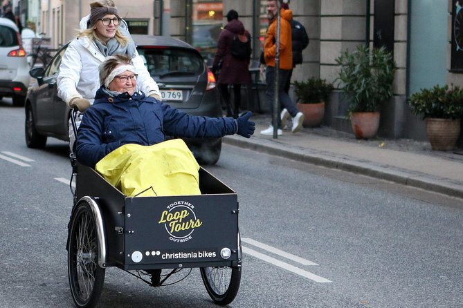 Private Copenhagen Family Cargo Bike Tour - Winter Adventure - Key things you will notice on this Copenhagen cargo bike tour
