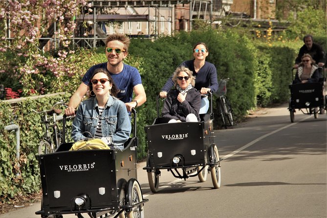 Private Copenhagen Family Cargo Bike Tour - Winter Adventure - Rosenborg Castle, SMK, and the gardens stop that turns a photo break into a pause