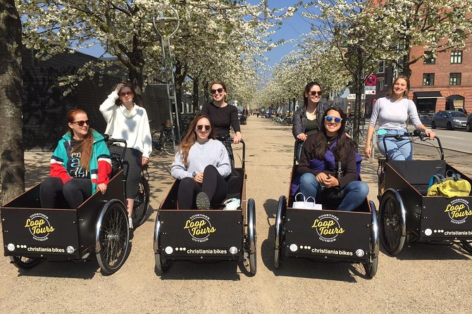 Private Copenhagen Family Cargo Bike Tour - Winter Adventure - Christiania for creativity, then CopenHill for sustainability and a knockout view