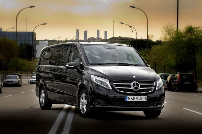 Private Luxury Van Departure from Copenhagen to Copenhagen Port - Copenhagen to Copenhagen Port, without the last-minute hassle