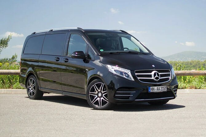 Private Luxury Van Departure from Copenhagen to Copenhagen Port - Price, value, and when a private van makes sense