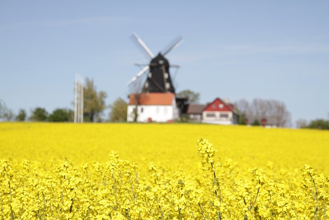 Private tour Copenhagen to Lund & Malmö City daytrip - Weather, walking, and the pace that fits one day