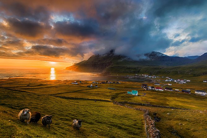 Súðuroy Island Day Tour, Faroe Islands - Should you book it?