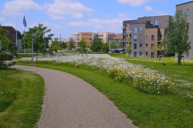 Two hour city tour through the new Odense - North Atlantic House: Culture as Part of the Waterfront Plan